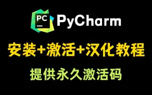 【2024版】PyCharm专业版安装激活与汉化教程！新手必看Python入门教程，提供安装包+激活码！！