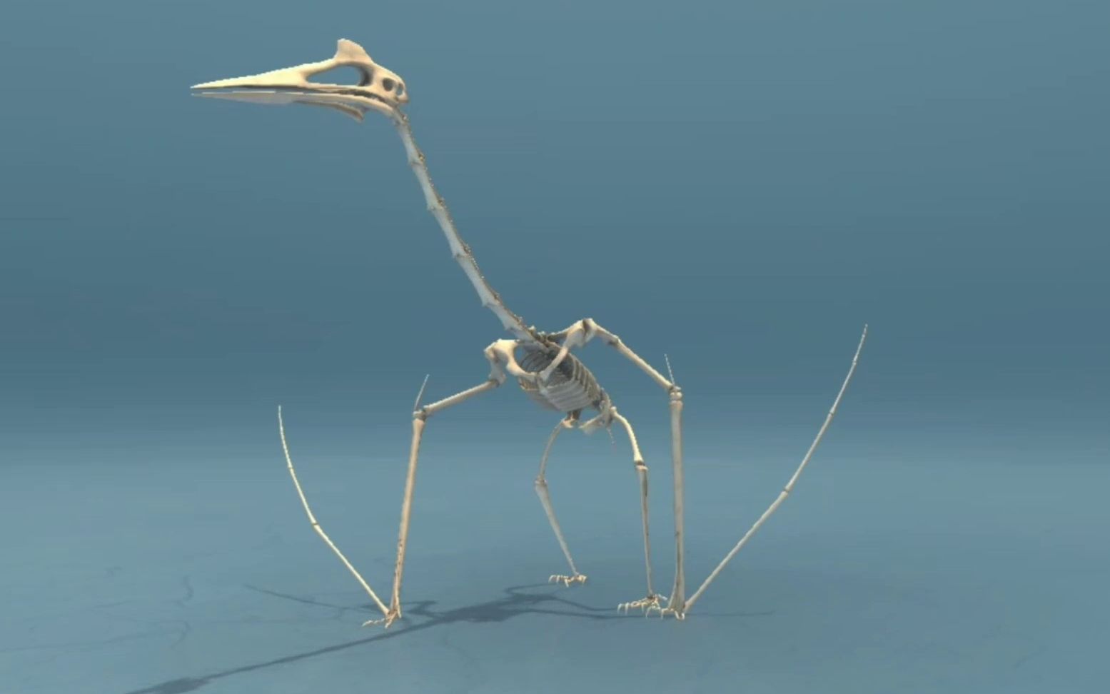 生物篇科普3d动画风神翼龙是有史以来最大的已知飞行动物之一