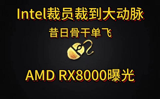 RX8000显卡曝光,Intel高级骨干单飞成立新公司哔哩哔哩bilibili