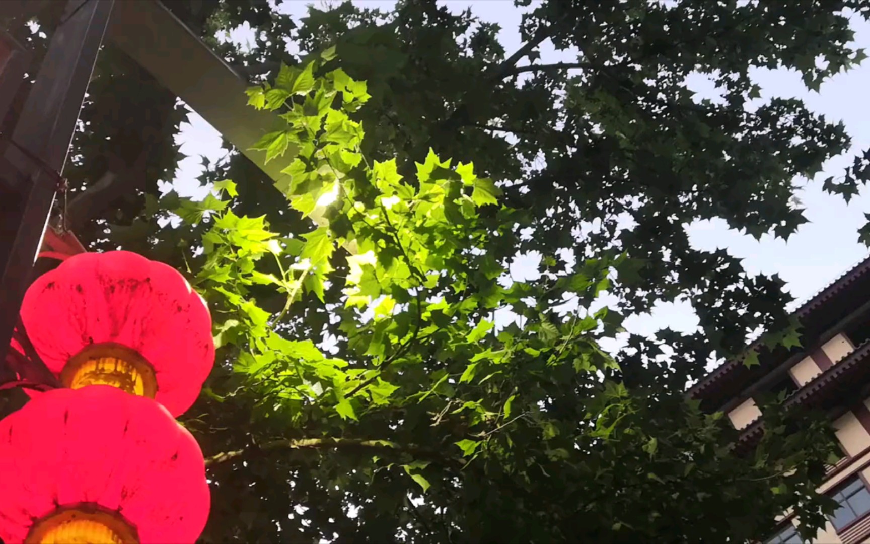 人间骄阳刚好,风过林梢,彼时他们正当年少. --《某某》