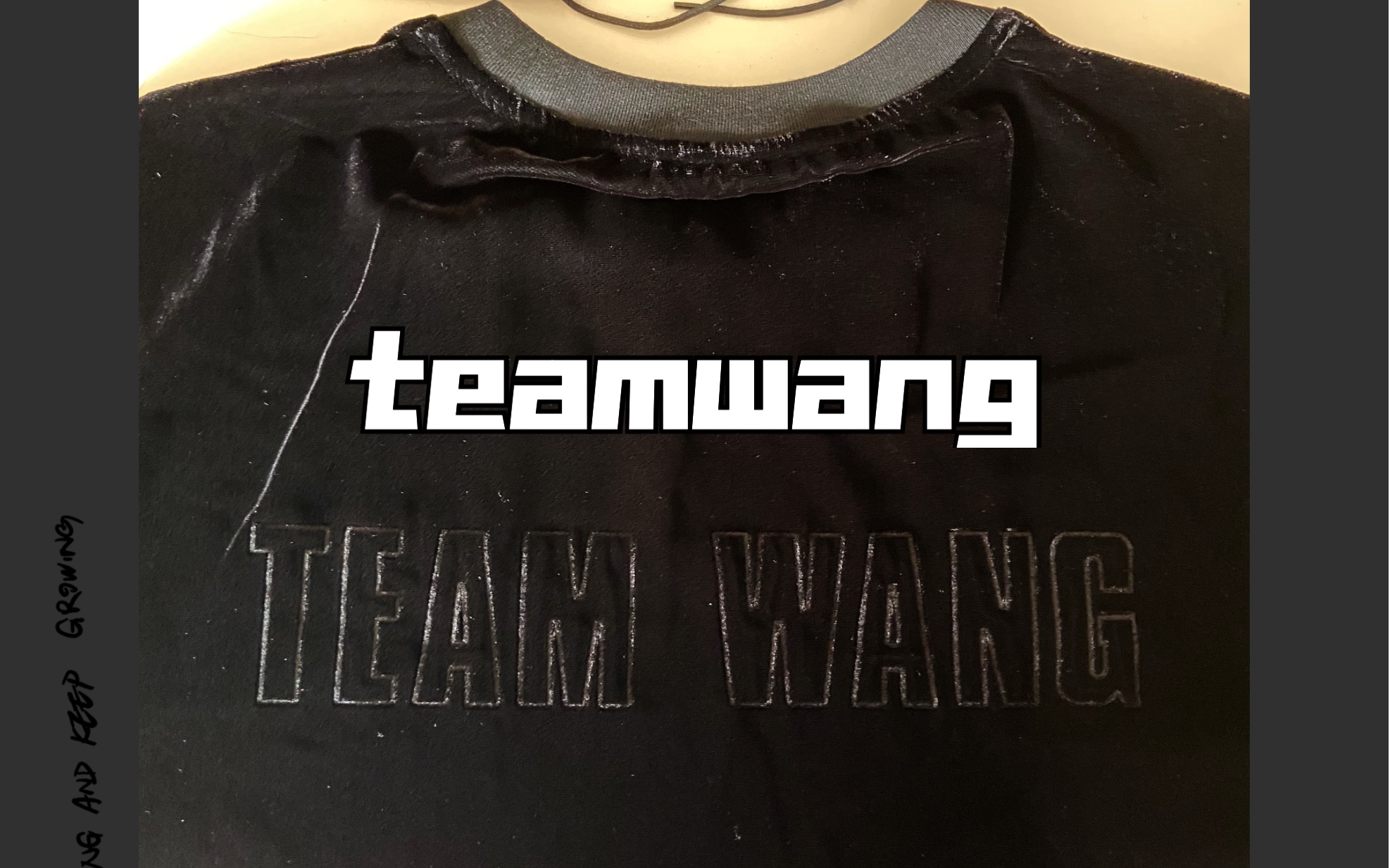 【teamwang】2021的第一更是teamwang的衣服!衣服真的很可以~哔哩哔哩bilibili