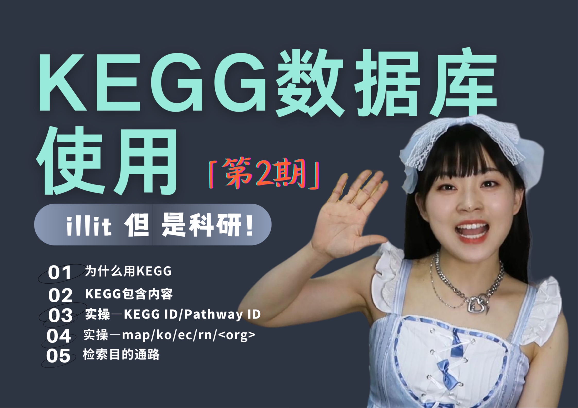 科研干货|KEGG数据库轻松上手 第2期哔哩哔哩bilibili