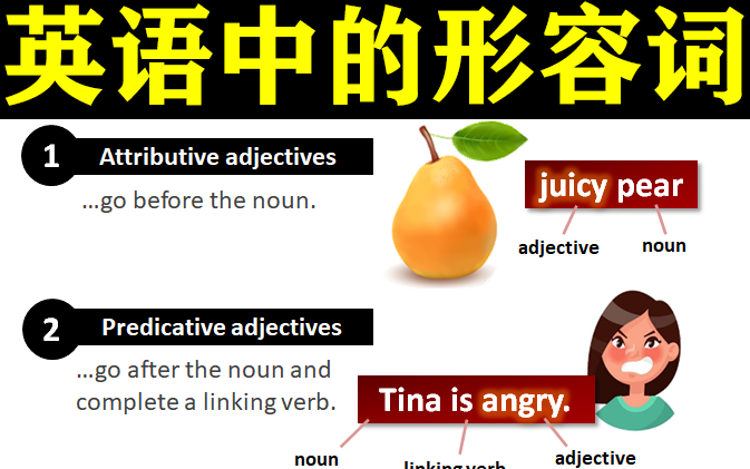 【英语词性】形容词 Adjectives 独家自制中英双字幕 权威解释哔哩哔哩bilibili