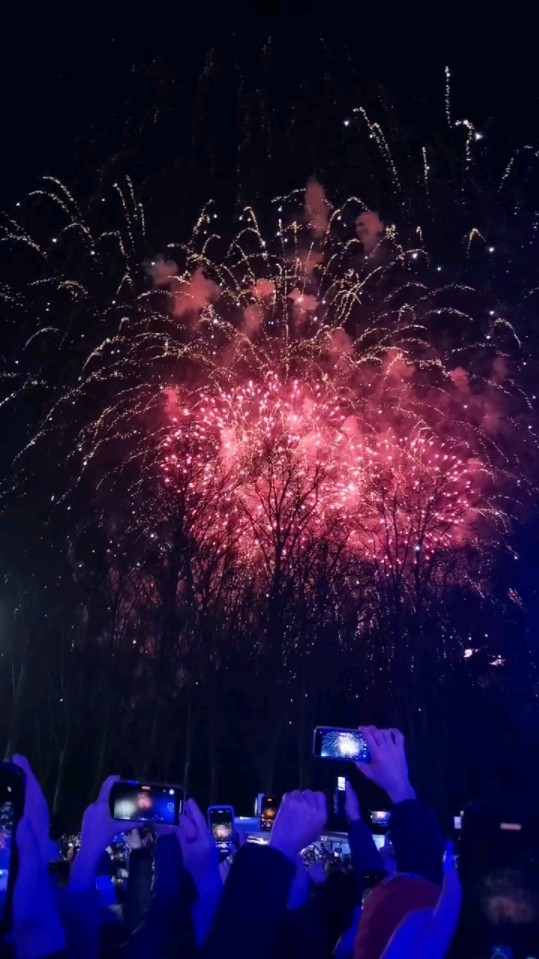 跨年倒计时 焰火表演 柏林跨年夜