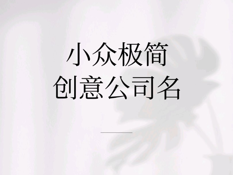 小众极简创意公司名哔哩哔哩bilibili