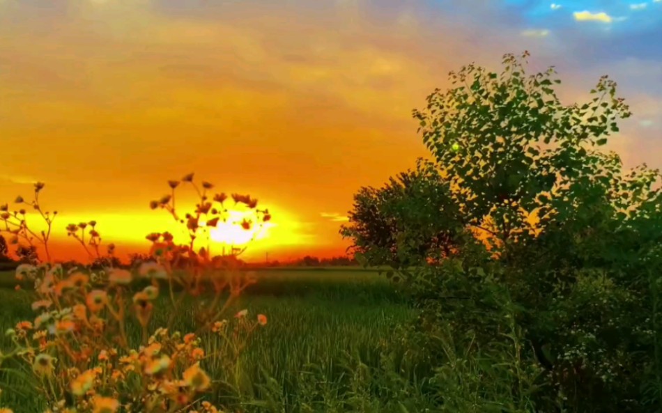 [图]晚风依旧温柔，星河皆是浪漫