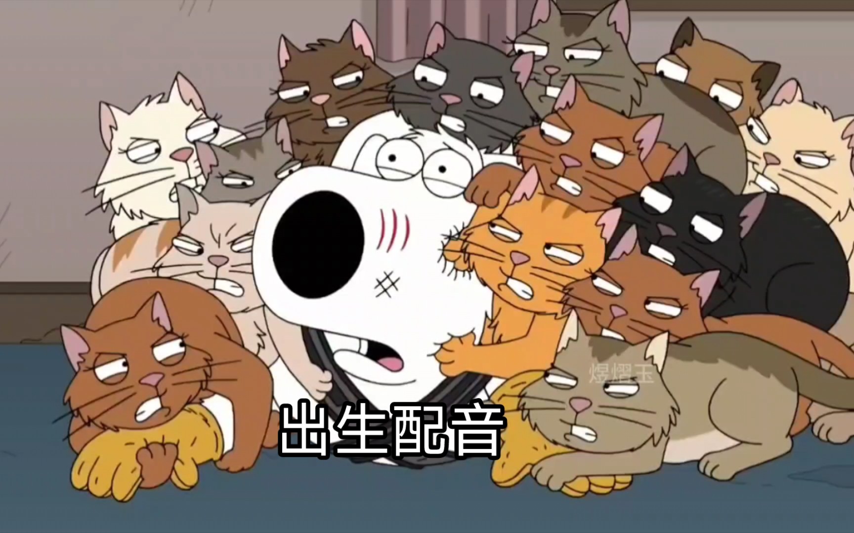 【恶搞之家】【中配】猫狗大战2哔哩哔哩bilibili