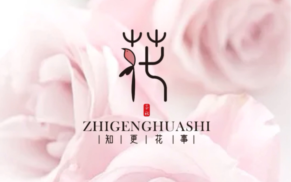 花花世界迷人眼,没有logo你别赛脸哔哩哔哩bilibili