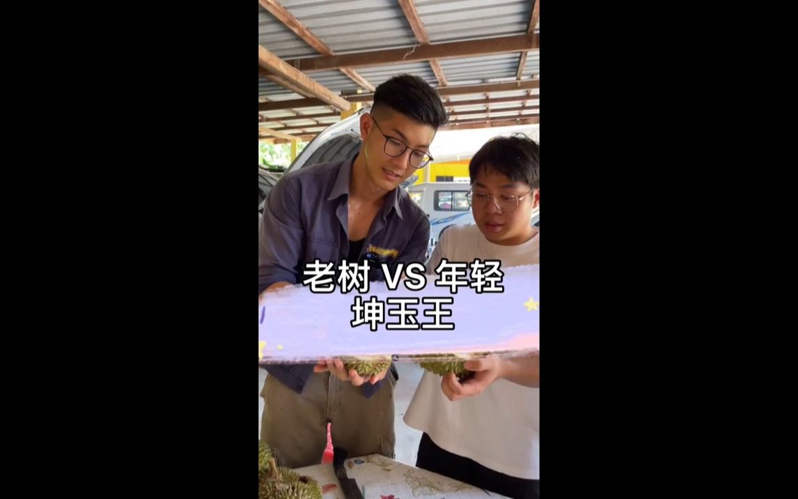 【马来堂哥】老树 VS 年轻 坤玉王哔哩哔哩bilibili