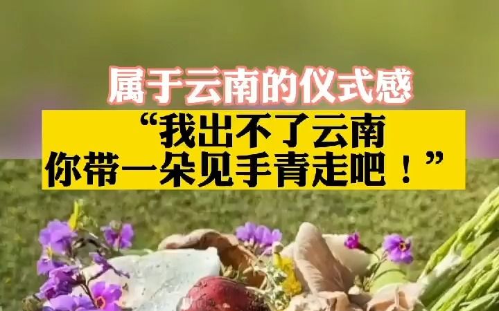 [图]我出不了云南，你带一朵见手青走吧