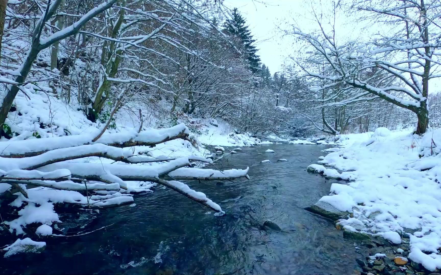 雪林. 美丽的河流. 睡眠的背景音. 冬季景观.哔哩哔哩bilibili