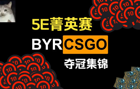 【BYR CSGO】5E菁英赛夺冠集锦电子竞技热门视频