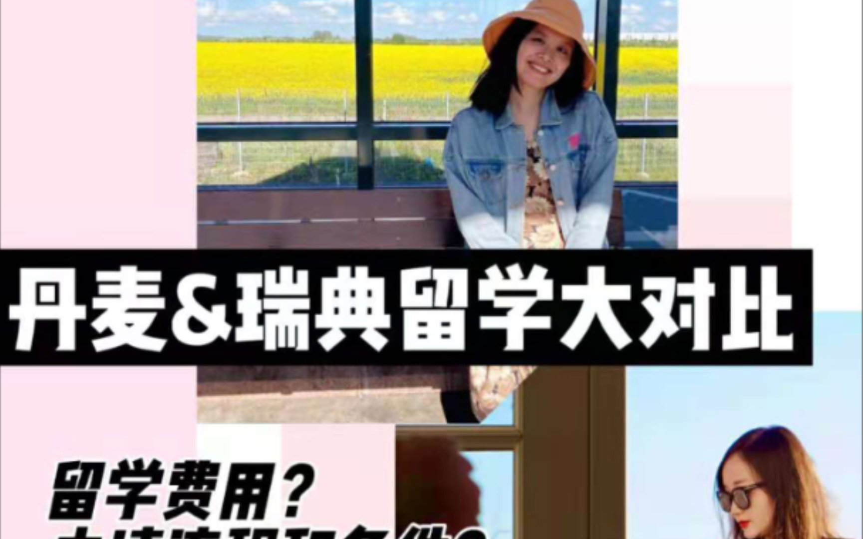 丹麦瑞典留学对比 费用 教学风格 申请时间?哔哩哔哩bilibili