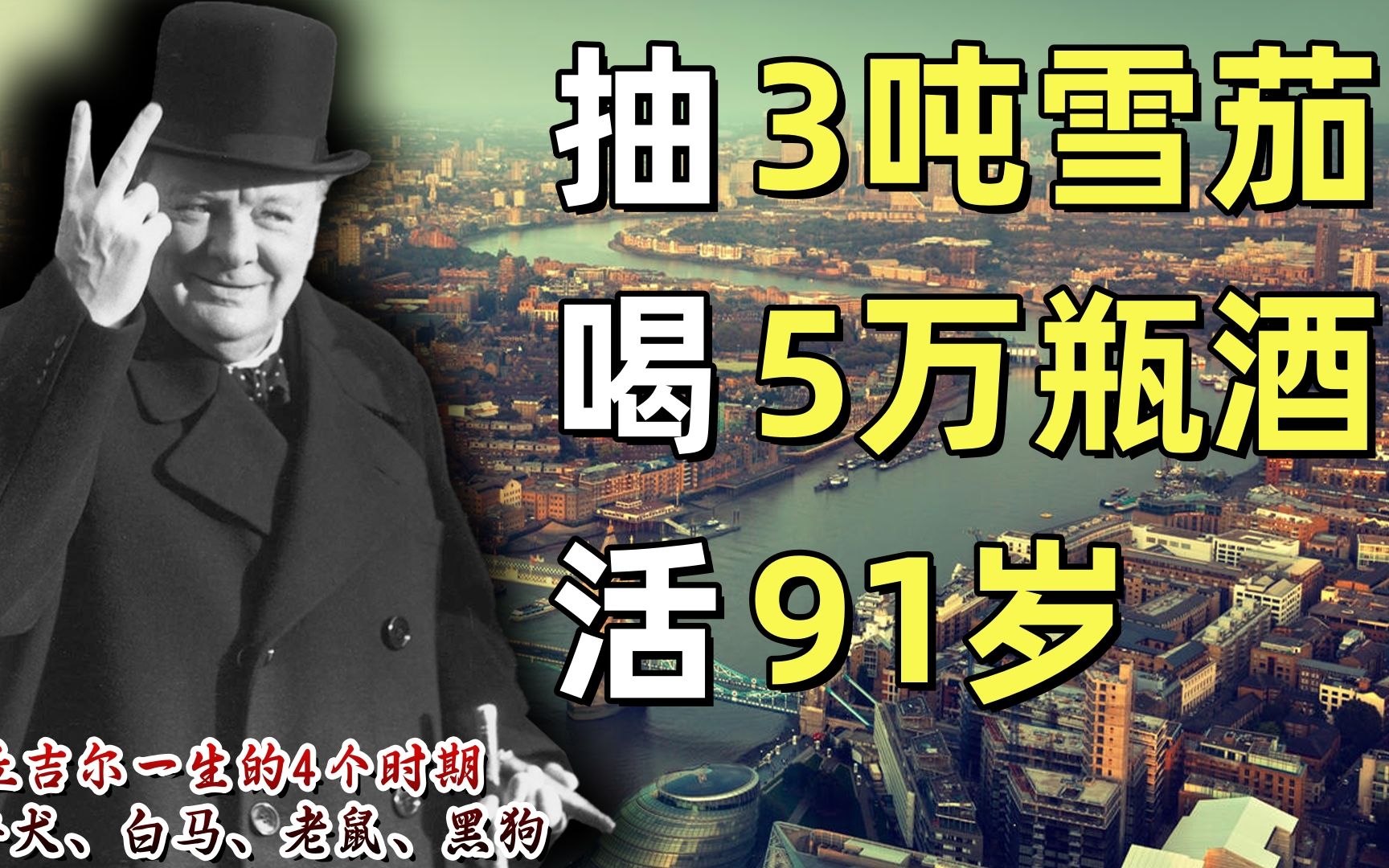 三吨雪茄、五万瓶酒 被二战耽误的画家、作家 丘吉尔活到了91岁!本期讲述丘吉尔一生的四个“动物”时期和对二战的贡献哔哩哔哩bilibili