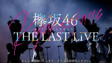 欅坂46公式サイト 欅坂46/THE LAST LIVE-DAY1&DAY2-〈完全生産限定盤・
