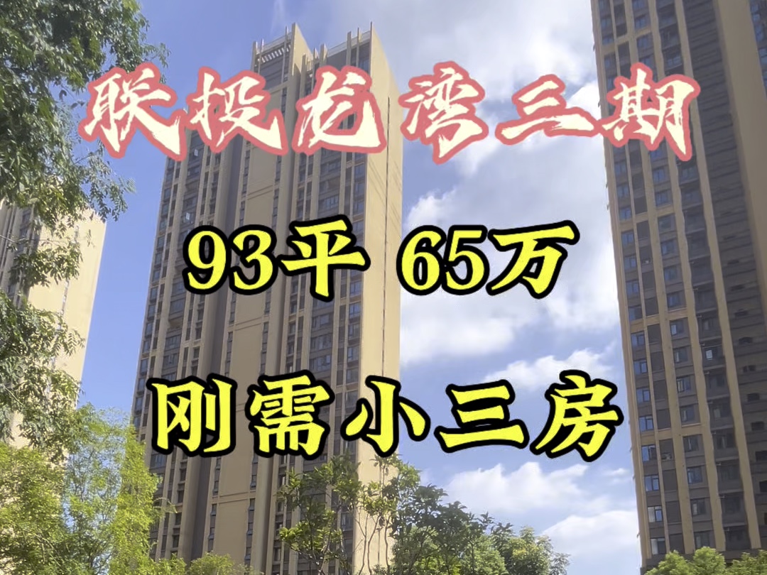 国企人车分流小区 93平小三房小高层65万开整#好房推荐 #性价比超高 #带你看房 #给你一个家 #联投龙湾三期哔哩哔哩bilibili