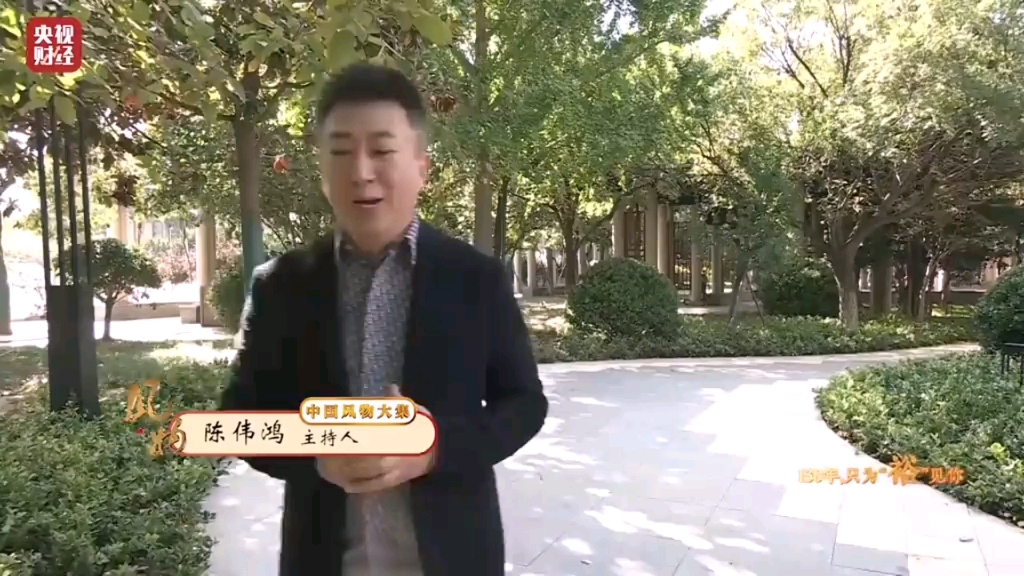 如果早知道央视二套主持人陈伟鸿也会被哔哩哔哩bilibili