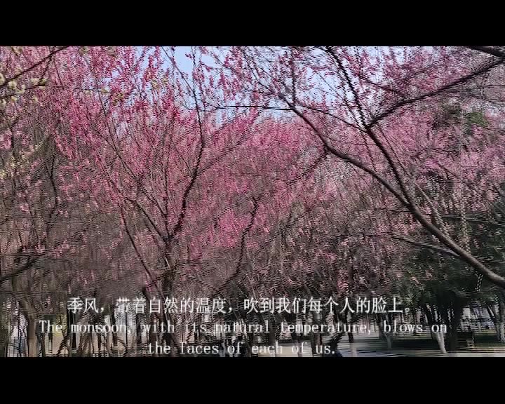 植树节宣传哔哩哔哩bilibili