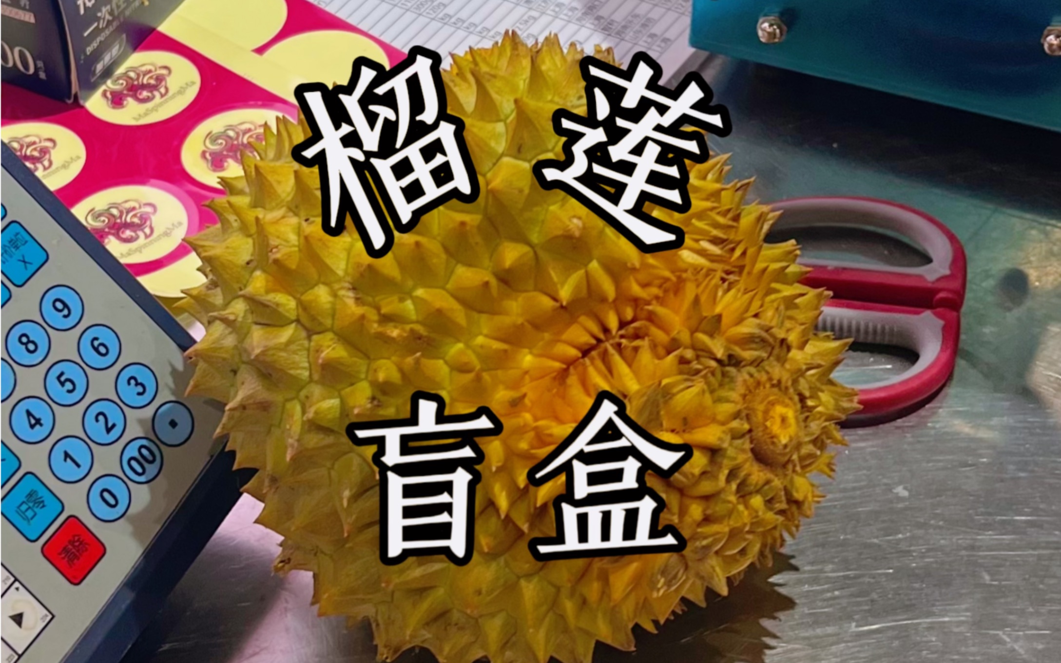 斥资开盲盒!看看这个三斤半的榴莲,是不是来报恩的!