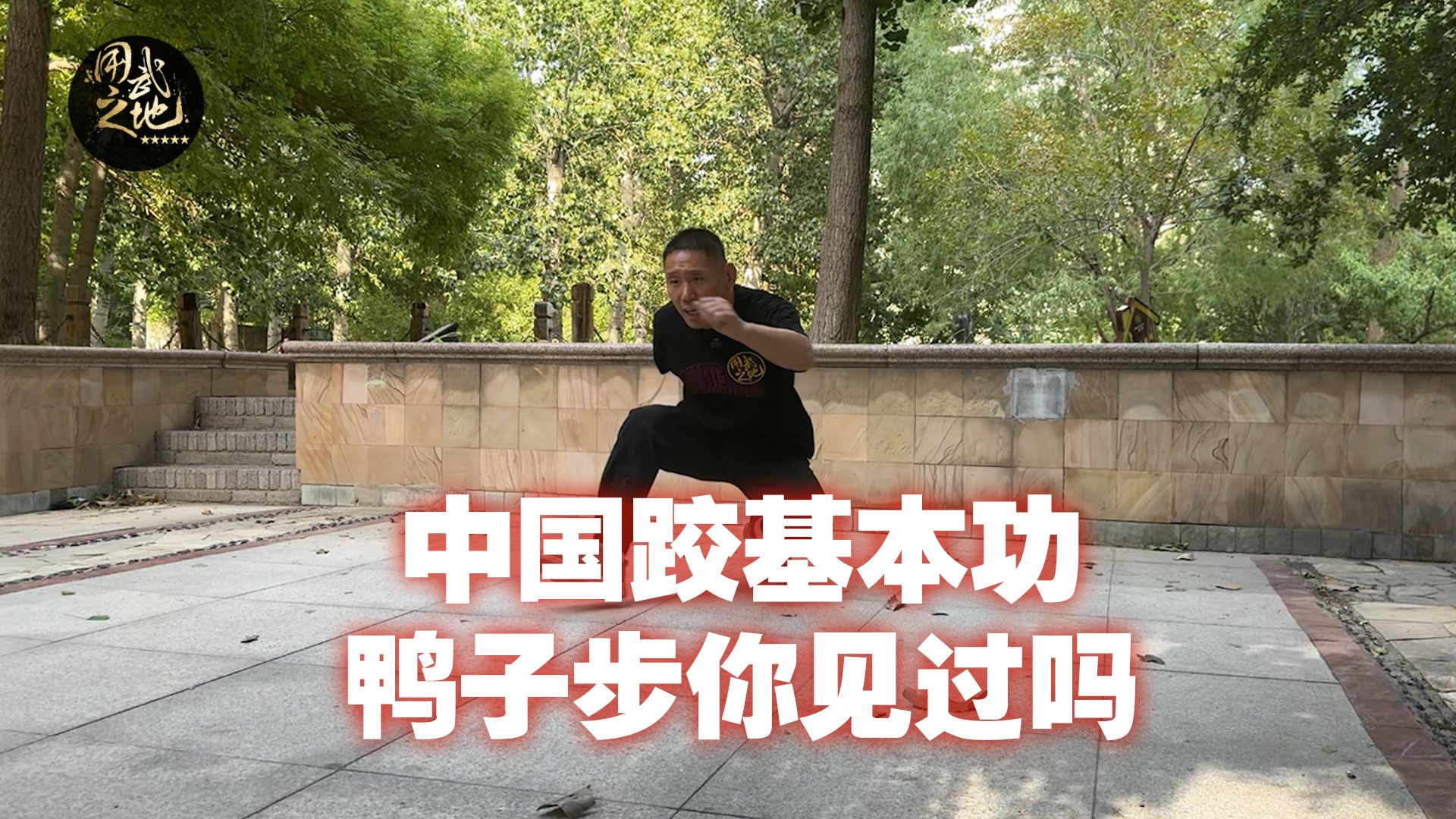 中国跤基本功鸭子步,自己在家就能训练!