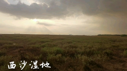 崇明明珠湖西沙湿地公园哔哩哔哩bilibili