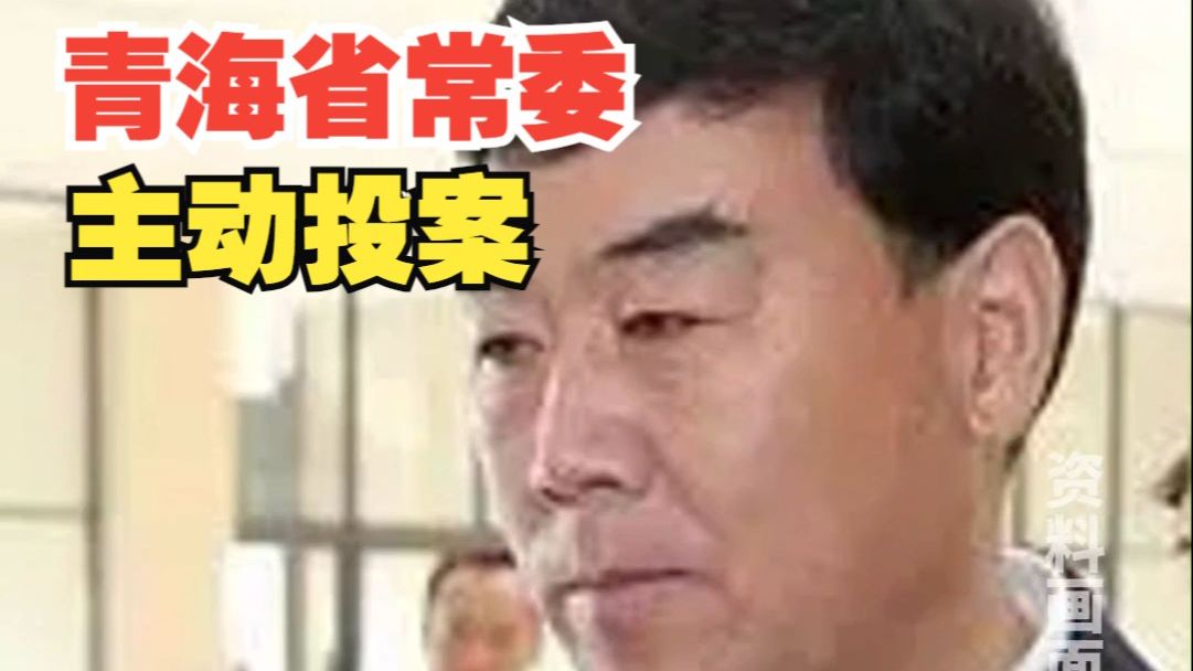 主动投案!青海省委常委、政法委书记杨发森接受审查调查哔哩哔哩bilibili