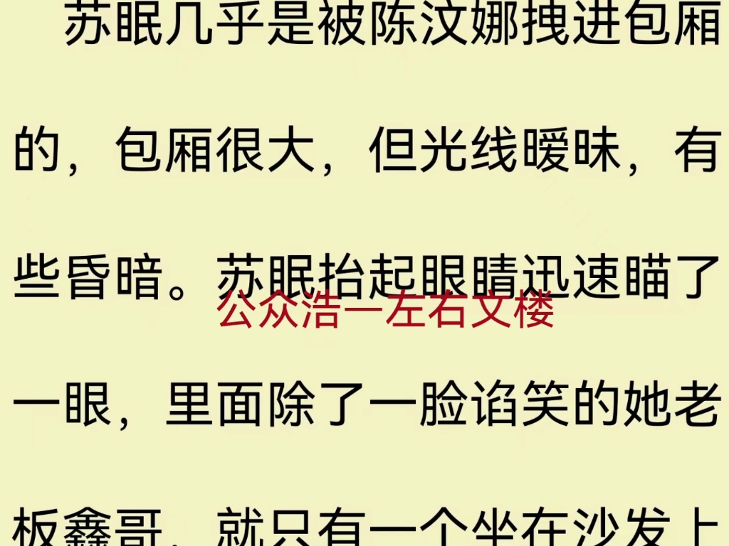 抖音最新火爆小说《苏眠沈清屿》苏眠沈清屿哔哩哔哩bilibili