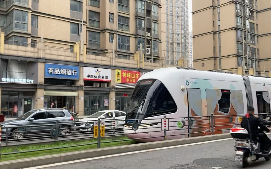 光谷的有轨电车有几个颜色,那些图案,有人知道吗?