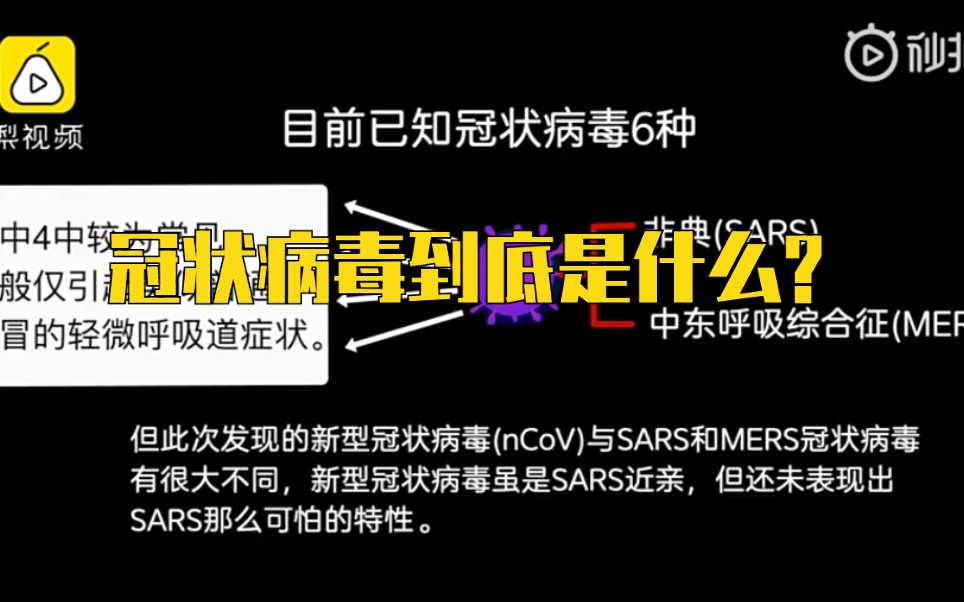 什么是冠状病毒?又该怎么预防呢?快点学起来!哔哩哔哩bilibili