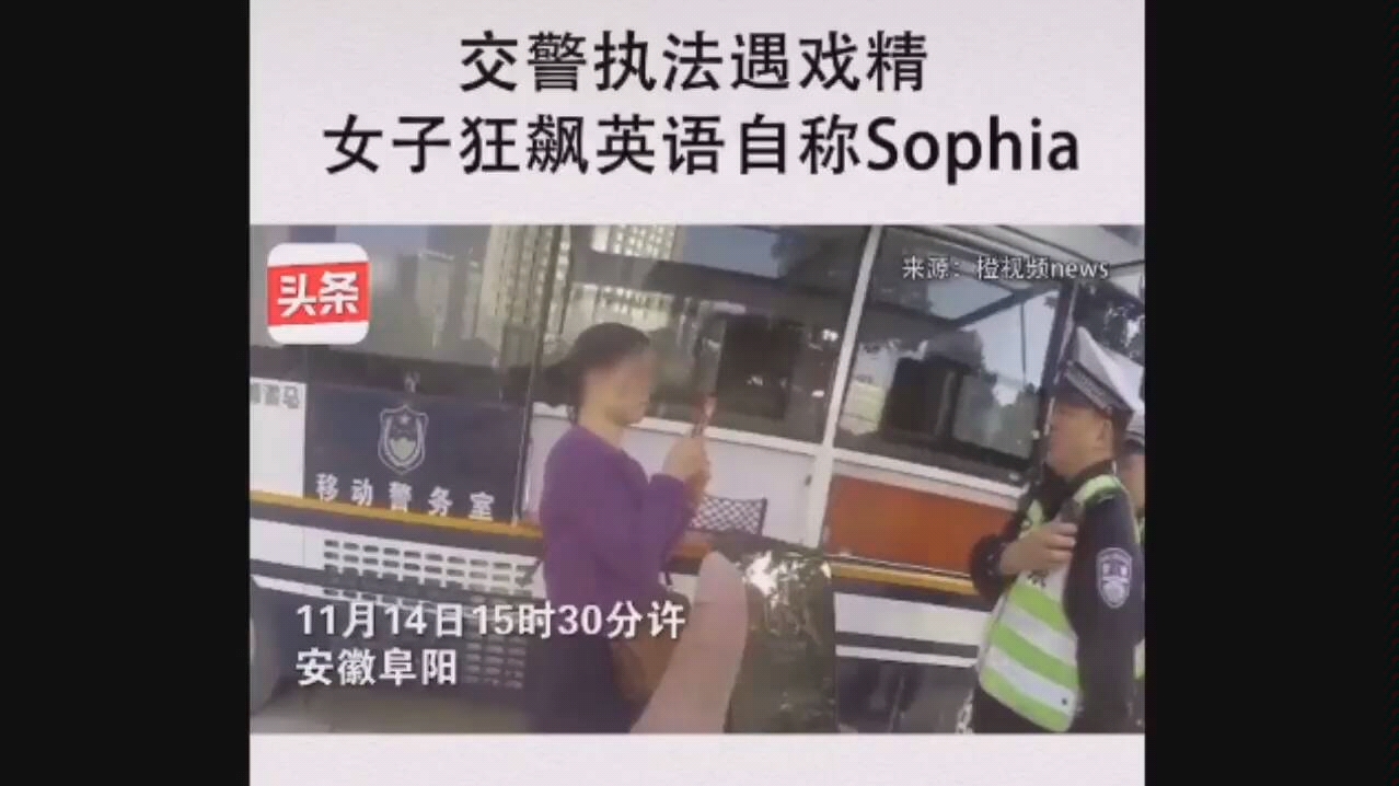 交警执勤遇戏精狂飙英语自称Sophia哔哩哔哩bilibili