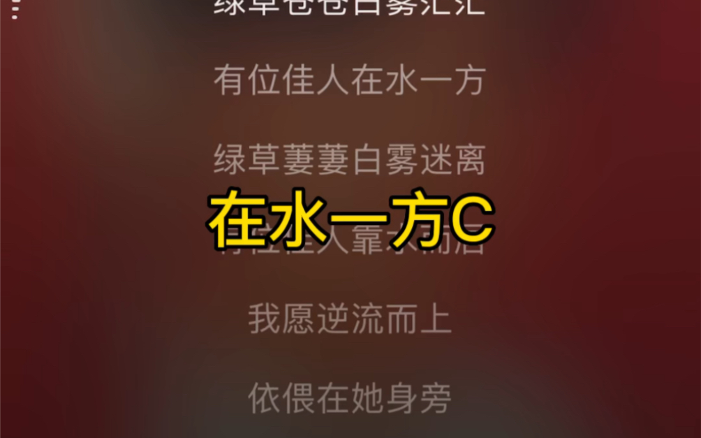 口琴伴奏——《在水一方》 C调 原唱邓丽君哔哩哔哩bilibili