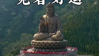 Download Video: 世界第一锡青铜大佛，烟台南山大佛，重380吨，高38.66米，堪称世界第一铜铸大坐佛，见者好运！