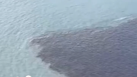 日本核污水下个月就要就入我国沿海!"日本 "核污染 "