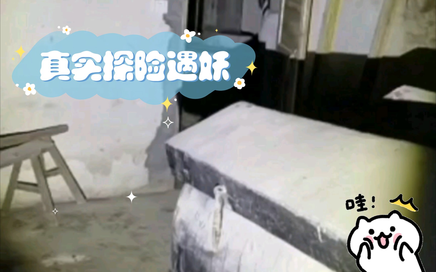 真实探险遇妖哔哩哔哩bilibili