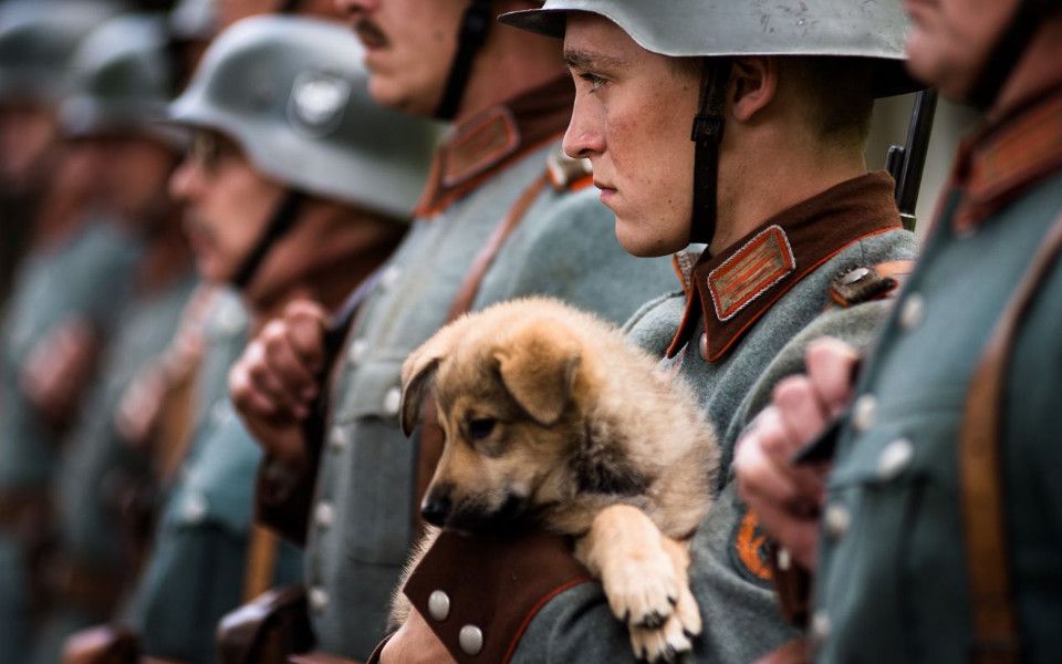 战争中迷失的少年二战德国警察夏至