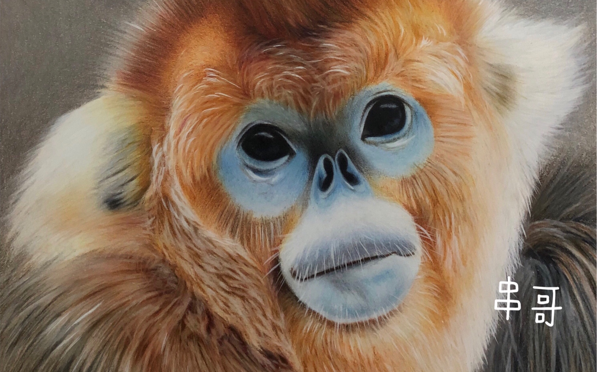 彩铅人力打印机——金丝猴_哔哩哔哩 (゜-゜)つロ 干杯~-bilibili