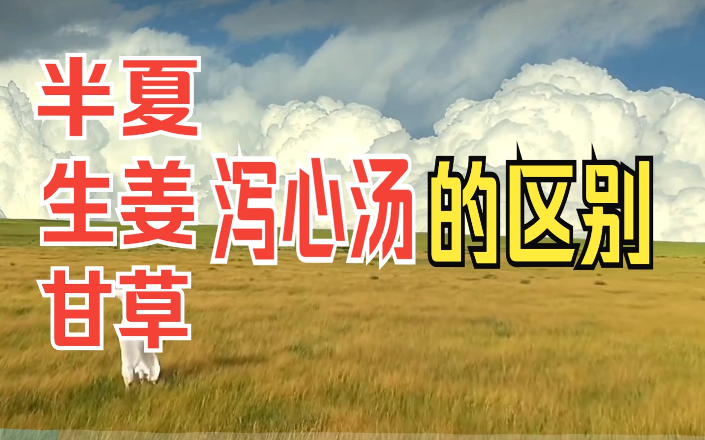 从桂枝甘草汤、干姜附子汤谈外感康复，首先保护心阳_凤凰网视频_凤凰网