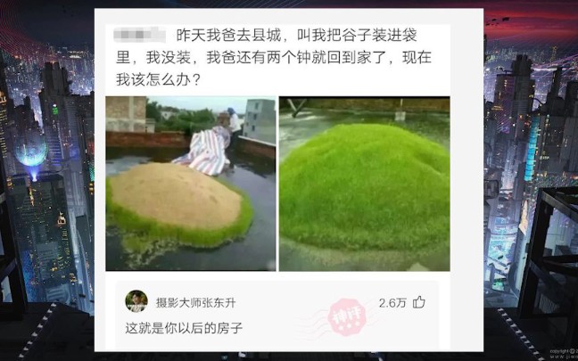 这个房子有点绿(搞笑沙雕图!!)哔哩哔哩bilibili