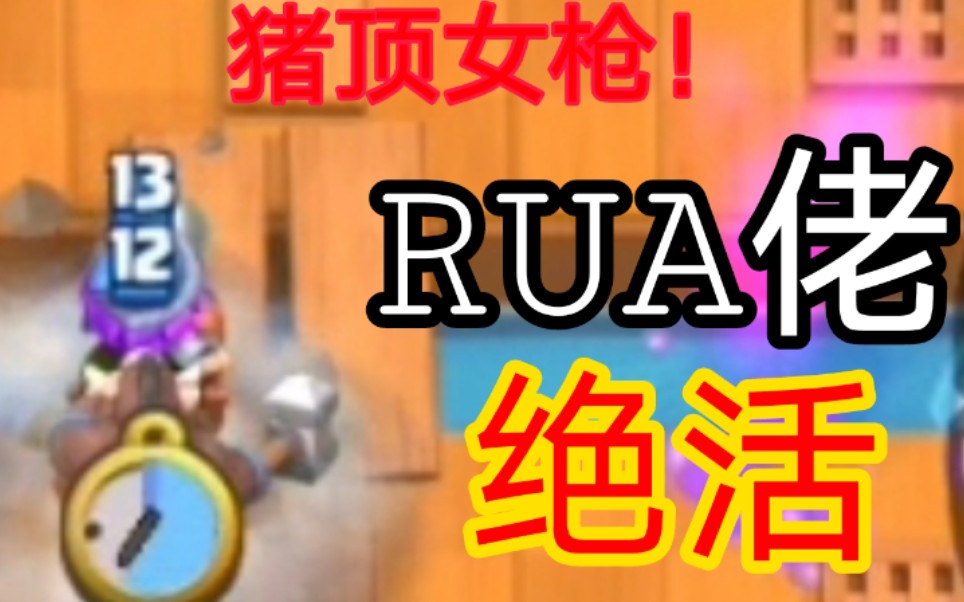 活动作品猪顶万物