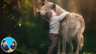 被狼养大的人狼孩 老高與小茉mr Mrs Gao1 哔哩哔哩 Bilibili