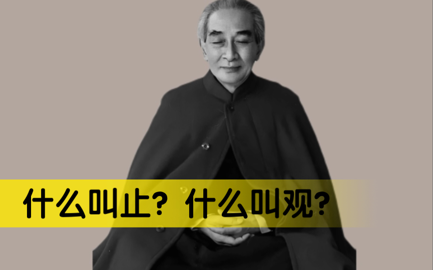 南怀瑾先生:什么叫止?什么叫观?告诉大家六妙门修习的方法.哔哩哔哩bilibili