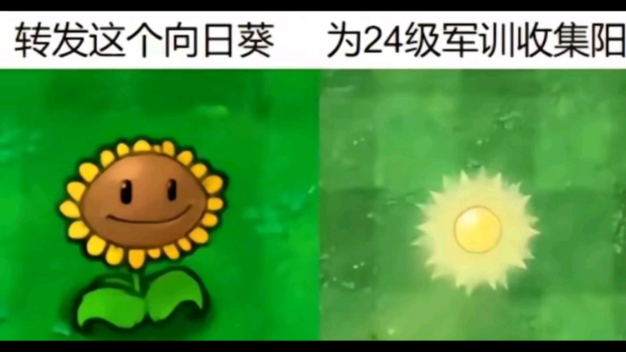 高考承载了多少人的青春,谁的青春又即将结束,祝2024考生高考顺利