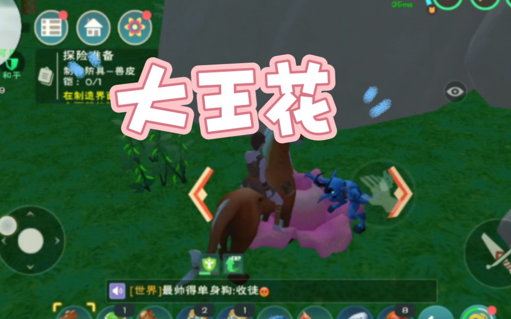 创造与魔法——三处大王花的位置