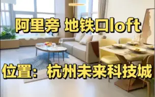 Download Video: 杭州西站旁，地铁口loft，楼下就是宝龙购物中心，旁边以阿里全球总部为首都是高薪企业总部