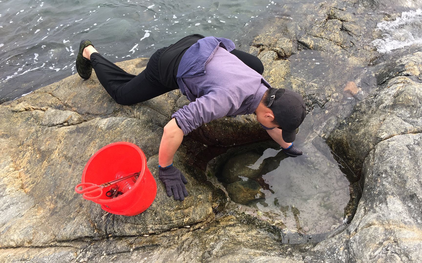 村大少赶海运气大爆棚,在水坑里发现一个猛家伙,这次抓得好过瘾