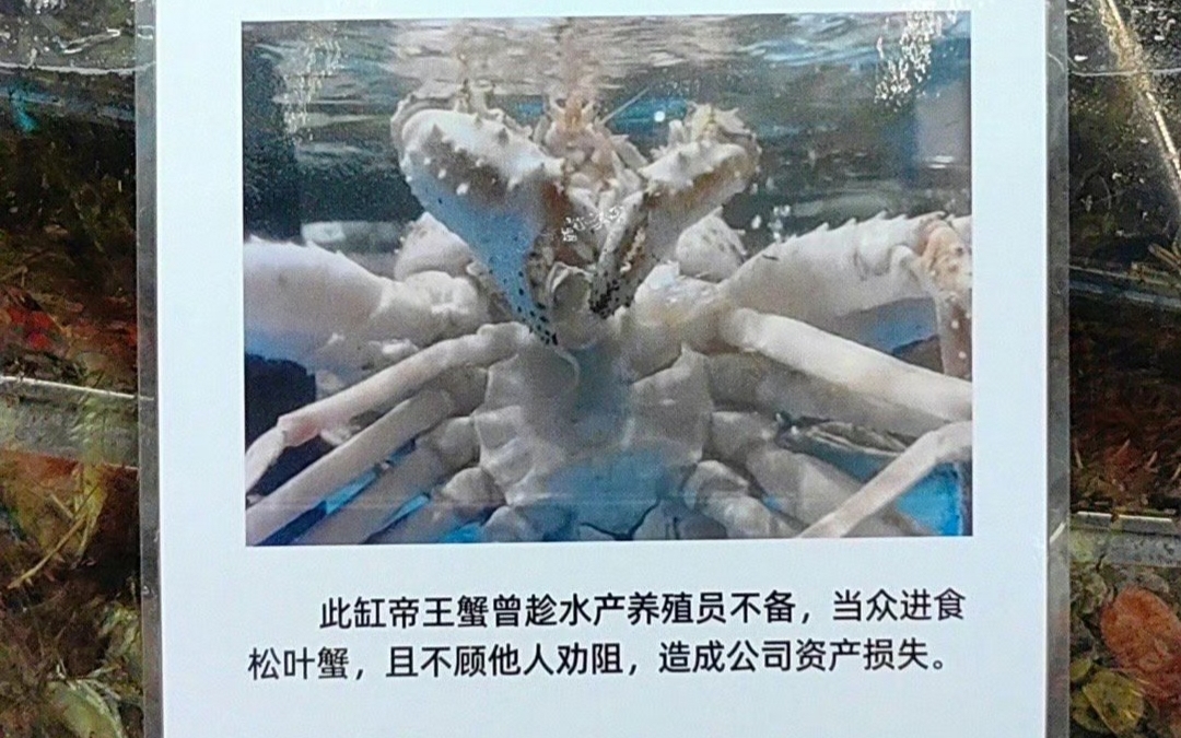 [图]现实版同事领导在天堂！盒马吃同事的帝王蟹被挂了！盒马你是懂段子的