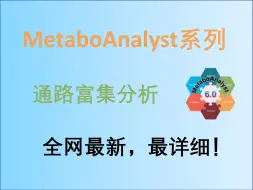 下载视频: MetaboAnalyst：代谢组学分析、通路富集分析—保姆级教程，看了必会！！！