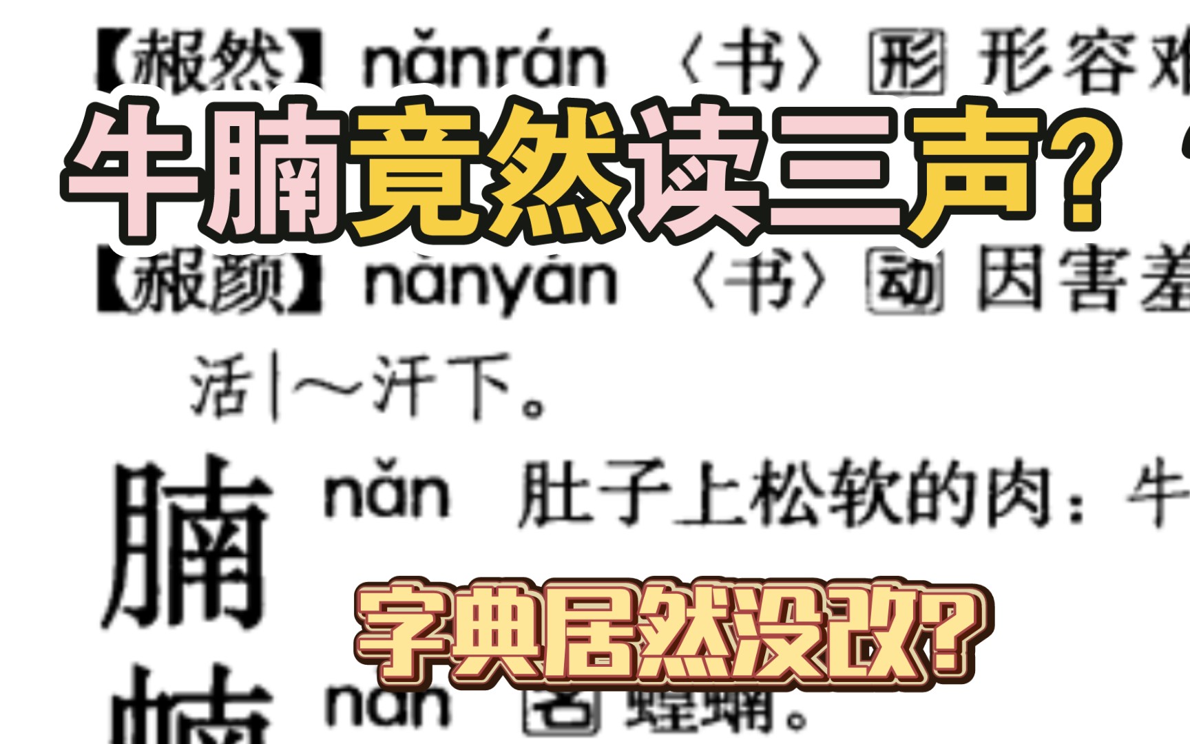 牛腩居然读三声?蛋挞读四声?字典还一直没改?我们一直都读错了??哔哩哔哩bilibili