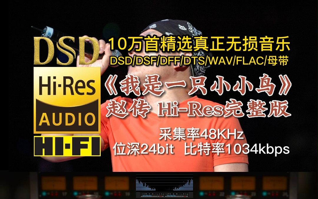 [图]赵传代表作《我是一只小小鸟》Hi-Res完整版，这首歌曲被很多人当成人生之歌【10万首精选真正DSD无损HIFI音乐，百万调音师制作】