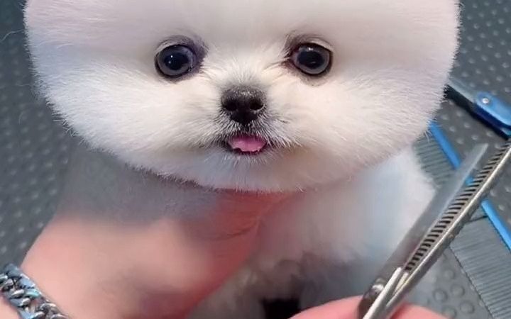 你这耳朵装的几号电池呀?